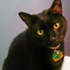 Meet your Posher, Cortney